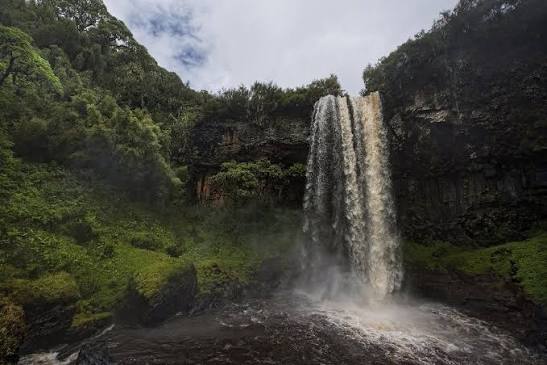 Kenya re-assures an experience of lifetime to the Indian travellers