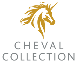 image-1690959859973Cheval