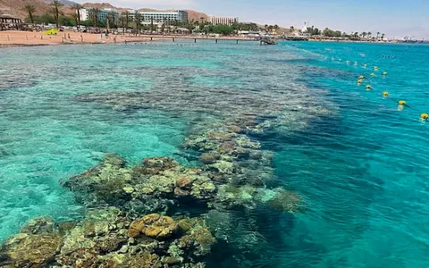 FEEL ALIVE IN DEAD SEA, ISRAEL