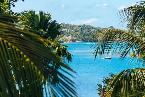WHAT TO DO: RIVER BOARDING ON THE RIO BUENO, JAMAICA