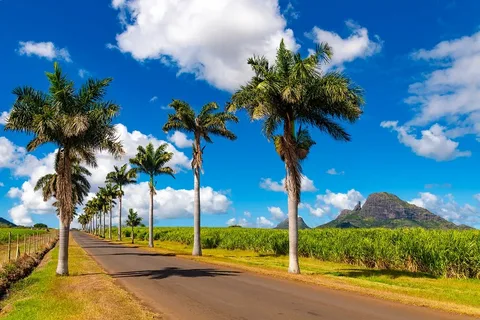 Golfing in Mauritius