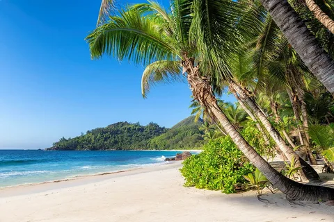 Historic Routes of Jamaica – Travel on the land of inimitable history –