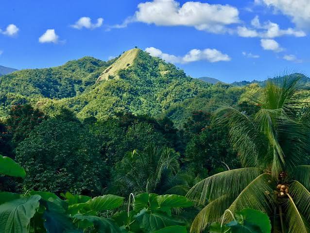 Jamaican Adventure Trail