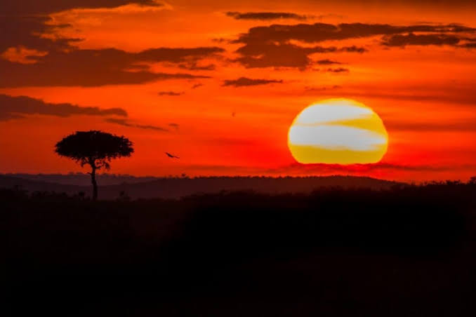 KTB launches “WhyILoveKenya” on-line