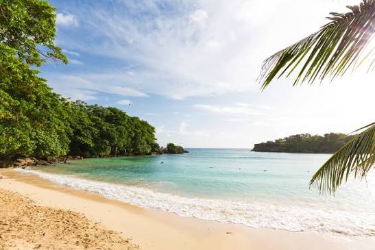 3 NOTEWORTHY ACTIVITIES IN JAMAICA