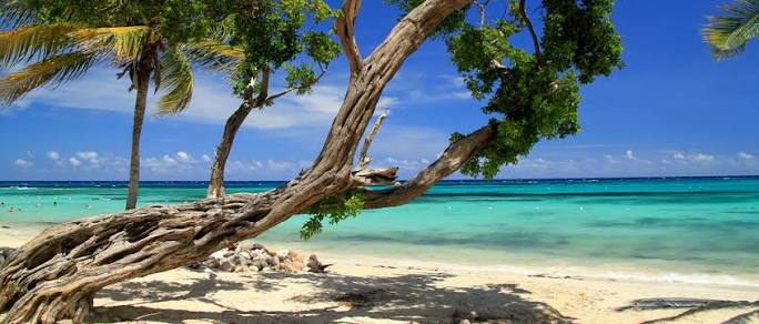 BOB MARLEY WEEK 2014 – Celebrate the Birth of Reggae Legend in Jamaica –