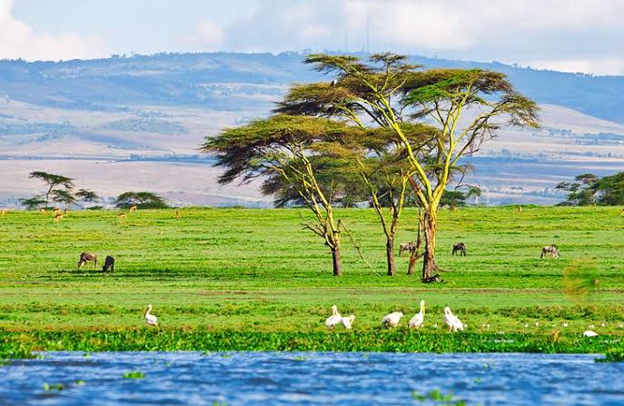 Kenya elected to UNWTO Executive Council