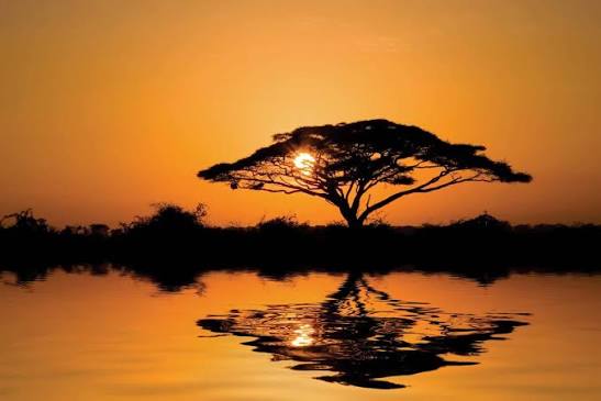 Bush & Beach Honeymoon – Kenya – Adventurous & Romantic Indulgence –