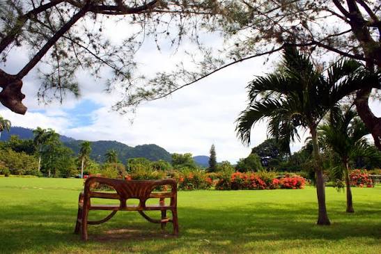 Kingston, The Heartbeat of Jamaica-A Window to Jamaicas Ethnic Art, Culture and Heritage –