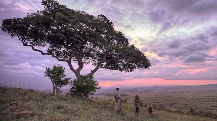 Enjoy winter sun in Kenya