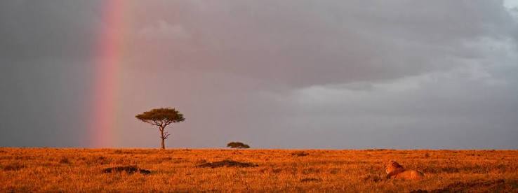 Celebrate New Year in Kenya