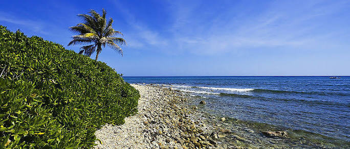 The Ultimate Exotic Experience – Black River Safari Cruise in Jamaica!